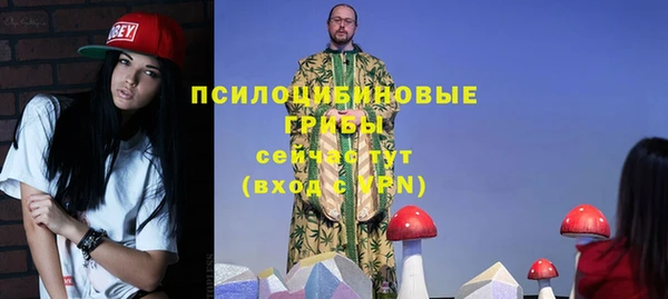 винт Алексеевка