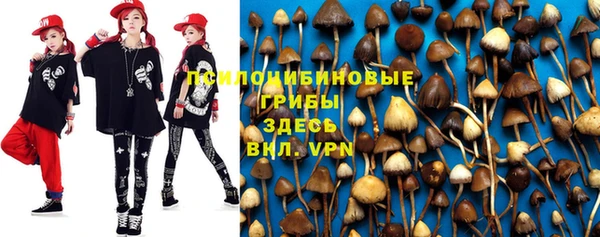 винт Алексеевка