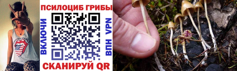 Галлюциногенные грибы GOLDEN TEACHER  Ступино 