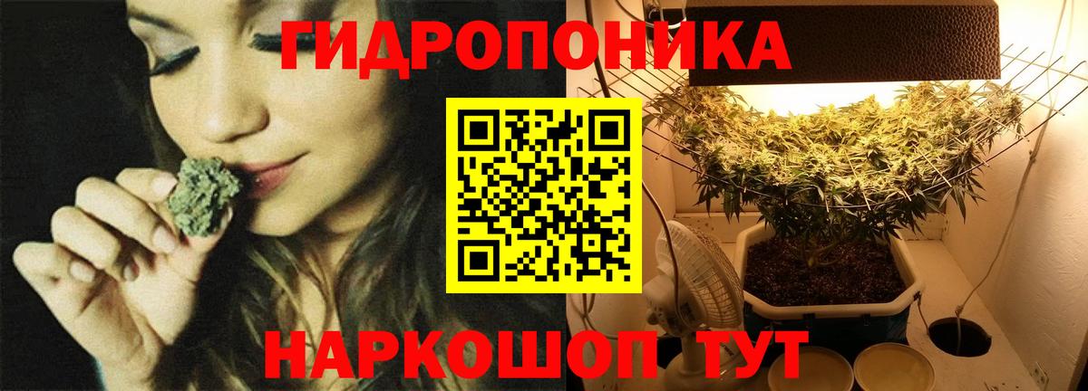 Марихуана план Ступино